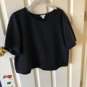 Cuyana Cropped Silk Tee